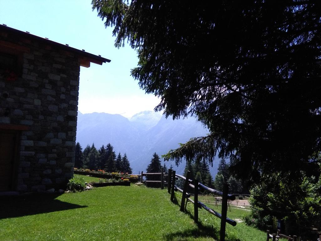 Agriturismo Valsaviore Cevo Bagian luar foto